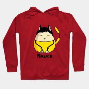 Bruce the Cat Hoodie